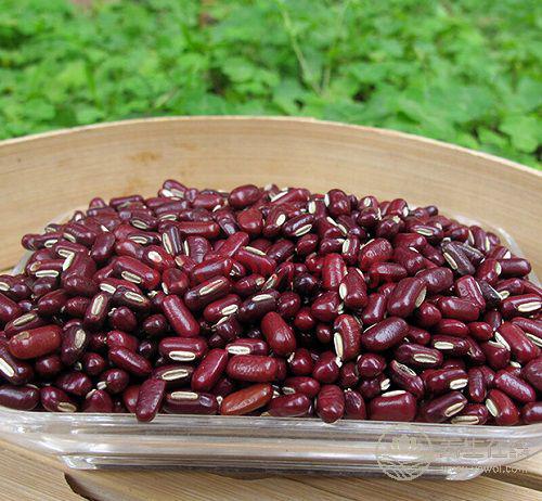 煲湯的藥料要細分,亂用要出岔子了 煲湯的藥料要細分,亂用要出岔子了