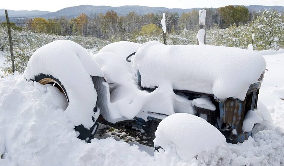 大雪<a href=http://www.xllyou.com/jkys/ target=_blank class=infotextkey>養(yǎng)生</a>|您不得不看的食療益氣補(bǔ)血養(yǎng)生法 大雪養(yǎng)生|您不得不看的食療益氣補(bǔ)血養(yǎng)生法