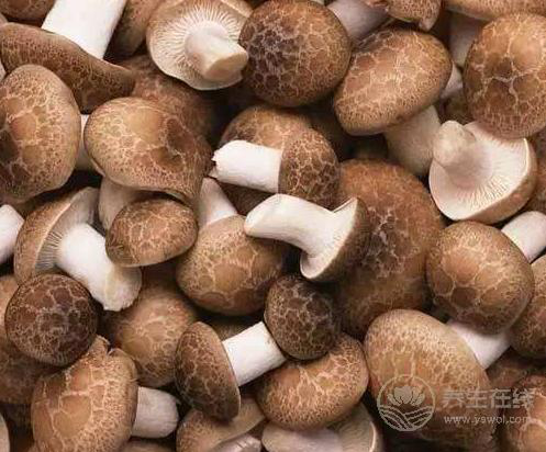 30歲后要關注的健康問題：3種食物能清血管，預防疾病