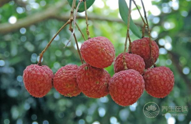 夏季水果多,當心幾種越吃越上火 夏季水果多,當心幾種越吃越上火