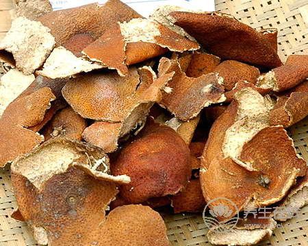 陳皮是個寶:行氣消食、燥濕化痰 陳皮是個寶:行氣消食、燥濕化痰