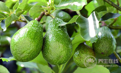 這5種水果你真的能吃嗎? 這5種水果你真的能吃嗎?