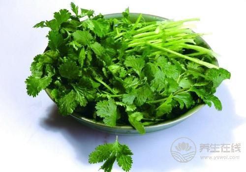 香菜雖然“臭”,但它的養生作用很多,不吃太可惜 香菜雖然“臭”,但它的養生作用很多,不吃太可惜