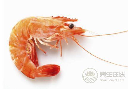 龍蝦不能和什么一起吃？吃蝦的禁忌須注意