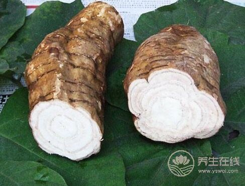 粵語中那些用來罵人的食物,敢問你懂得幾個? 粵語中那些用來罵人的食物,敢問你懂得幾個?