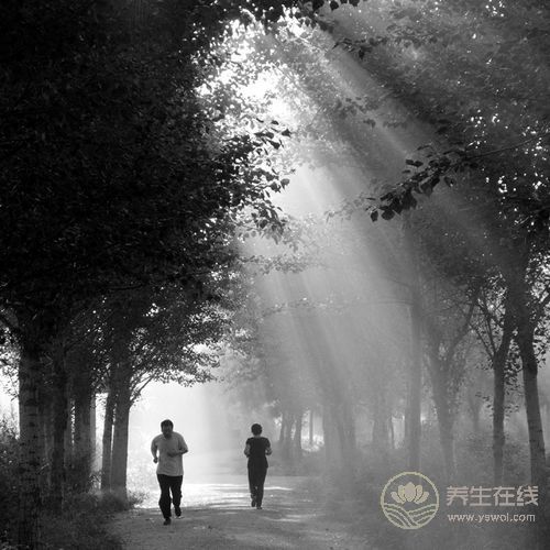 晨起運動是最好的養生方式,沒有之一 晨起運動是最好的養生方式,沒有之一