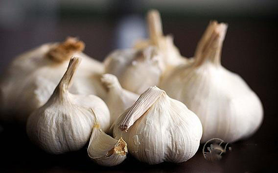 雞肉不能和什么一起吃雞肉的食用禁忌有哪些 雞肉不能和什么一起吃雞肉的食用禁忌有哪些