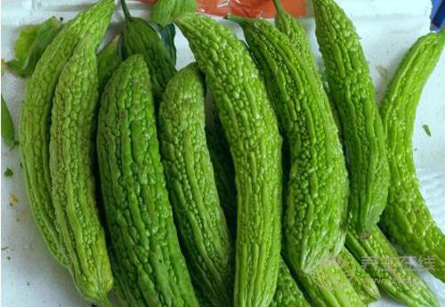 這些瓜,養生作用大,別忘了要多吃 這些瓜,養生作用大,別忘了要多吃