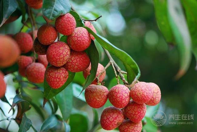 吃荔枝上火怎么辦？4個(gè)辦法解決