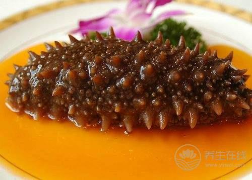 海參不能和什么一起吃？