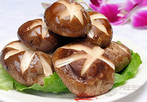 治胃病小能手,推薦這6種日常食物 治胃病小能手,推薦這6種日常食物