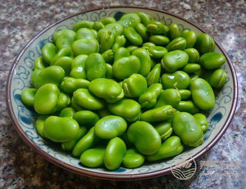 8種食物容易引起中毒，很常見，不懂的人要看看