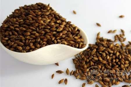 面色蠟黃試試自制紅棗大麥茶 面色蠟黃試試自制紅棗大麥茶