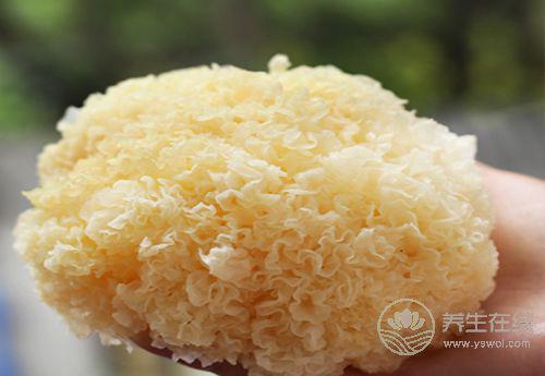 適合女性的食物，常吃能滋潤肌膚有光澤