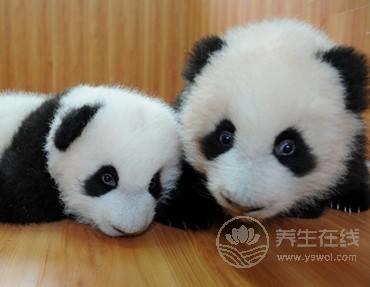 以為有黑眼圈就是睡眠不足?很多人都錯了 以為有黑眼圈就是睡眠不足?很多人都錯了