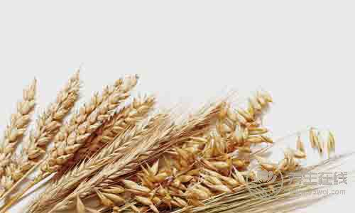 最普通的6種食物,最養胃,人人都買得起 最普通的6種食物,最養胃,人人都買得起