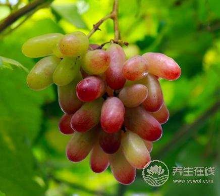 吃提子時皮澀怎么處理?4招解決方式 吃提子時皮澀怎么處理?4招解決方式