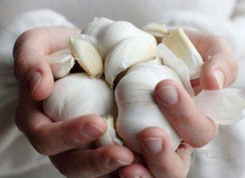 大蒜吃法有講究,吃錯了不抗癌,還會致癌! 大蒜吃法有講究,吃錯了不抗癌,還會致癌!