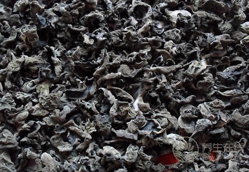 8月份的養生蔬菜有哪些?看看有沒有你喜歡吃的 8月份的養生蔬菜有哪些?看看有沒有你喜歡吃的