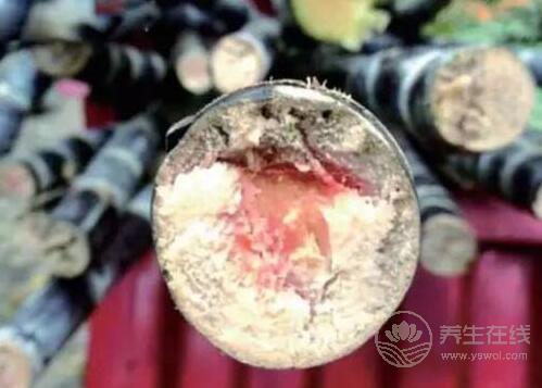 這幾種食物爛了別吃,傷肝傷腎 這幾種食物爛了別吃,傷肝傷腎