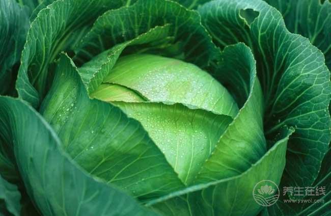 5種食物是血管清道夫,多吃保護血管 5種食物是血管清道夫,多吃保護血管