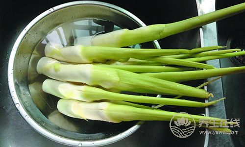 肺癌、胃癌,9種癌癥吃"1"種蔬菜可預防 肺癌、胃癌,9種癌癥吃"1"種蔬菜可預防