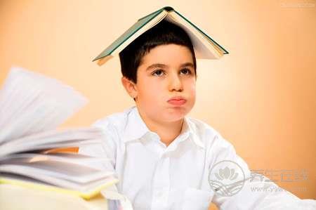 提高記憶力常吃10大食物 提高記憶力常吃10大食物