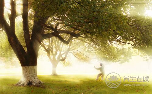 晨起運動是最好的養生方式,沒有之一 晨起運動是最好的養生方式,沒有之一
