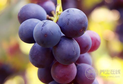 失眠吃什么?5種水果助你順利入眠 失眠吃什么?5種水果助你順利入眠