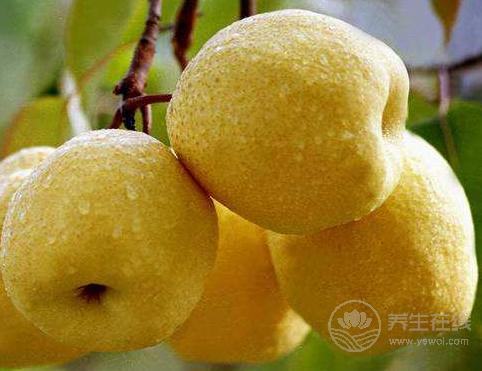 喜歡吃螃蟹的人注意了,它不能和這些食物同食 喜歡吃螃蟹的人注意了,它不能和這些食物同食