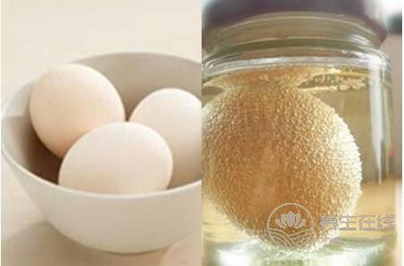 醋泡雞蛋有哪些功效?醋泡雞蛋能減肥嗎? 醋泡雞蛋有哪些功效?醋泡雞蛋能減肥嗎?