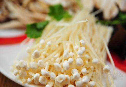 常吃金針菇,好處有這些,你懂嗎? 常吃金針菇,好處有這些,你懂嗎?