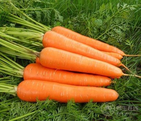 天氣寒涼吃點“小人參”補補,三大好處你知道嗎 天氣寒涼吃點“小人參”補補,三大好處你知道嗎