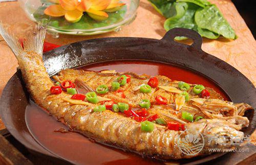 為什么全世界的飲食指南都鼓勵吃魚? 為什么全世界的飲食指南都鼓勵吃魚?