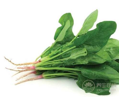 貧血吃什么?這4種食物補血效果不比紅棗差 貧血吃什么?這4種食物補血效果不比紅棗差