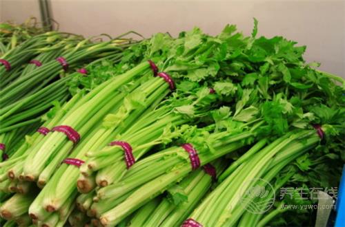 5種減脂食物放心吃,讓你瘦足一整夏! 5種減脂食物放心吃,讓你瘦足一整夏!