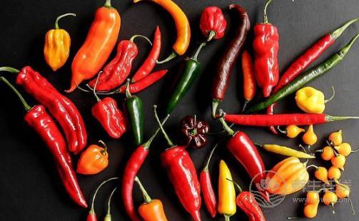 經(jīng)常食用辣椒有何好處什么人不建議吃辣椒 經(jīng)常食用辣椒有何好處什么人不建議吃辣椒