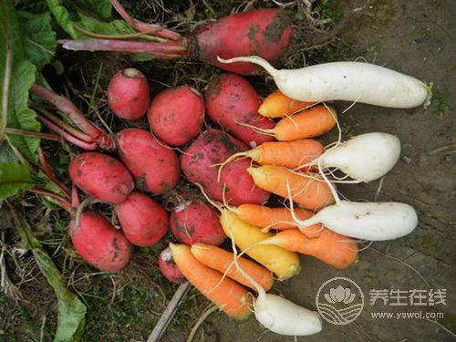 這些蔬菜生吃比煮熟后營養(yǎng)更加豐富 這些蔬菜生吃比煮熟后營養(yǎng)更加豐富