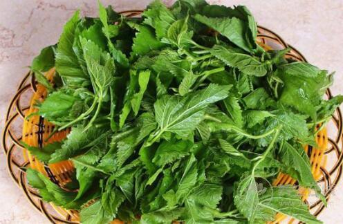 血液粘稠容易危及生命,生活中這些食物可以緩解 血液粘稠容易危及生命,生活中這些食物可以緩解