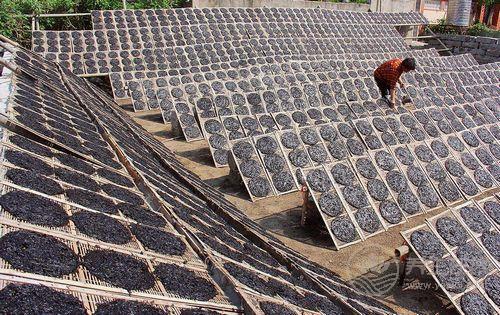 1種家常菜被稱為長壽菜，抗癌降三高，人人吃得起