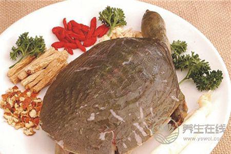 甲魚湯營養豐富，喝甲魚湯的功效是什么？