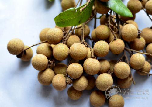 龍眼又甜又脆，還有這么多營(yíng)養(yǎng)，怪不得那么多人喜歡