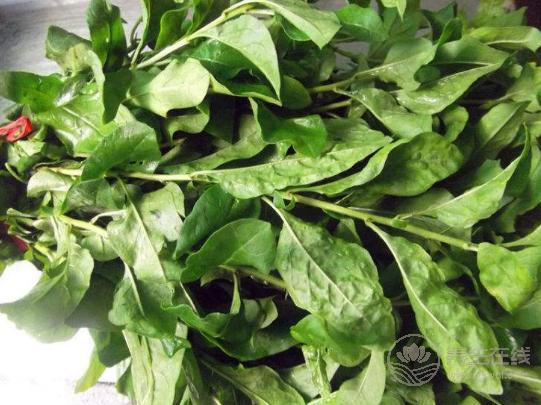 4月份,養(yǎng)肝補(bǔ)血應(yīng)該多吃3種野菜 4月份,養(yǎng)肝補(bǔ)血應(yīng)該多吃3種野菜