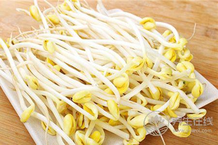 怎么炒黃豆芽會更好吃?常吃黃豆芽好處多多 怎么炒黃豆芽會更好吃?常吃黃豆芽好處多多