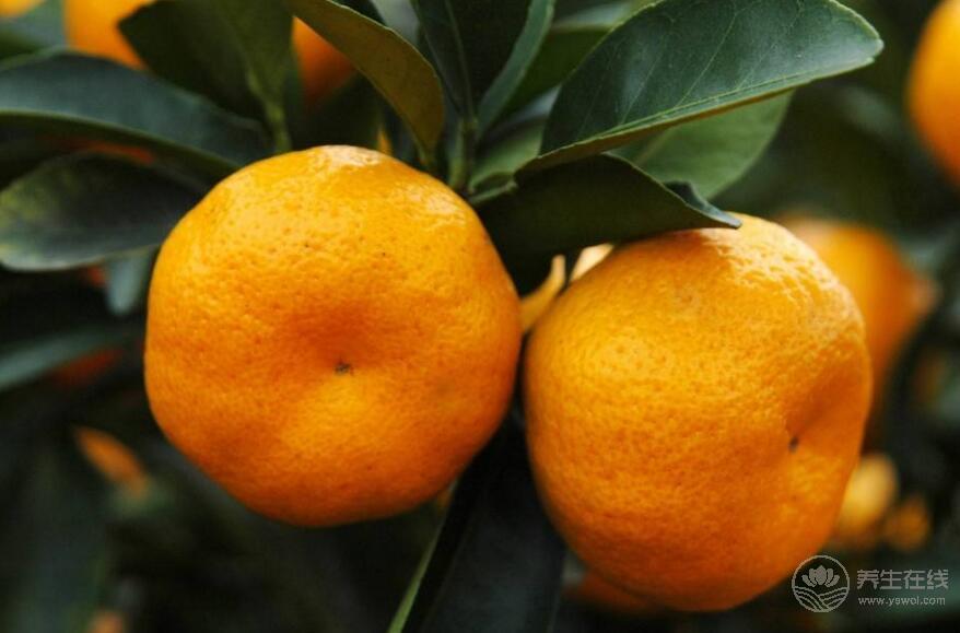 這7種食物對肺好,平常要多吃! 這7種食物對肺好,平常要多吃!