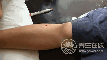 要想脾胃好，可經(jīng)常艾灸這2個(gè)穴位