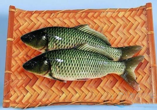 雞肉不能和什么一起吃雞肉的食用禁忌有哪些 雞肉不能和什么一起吃雞肉的食用禁忌有哪些