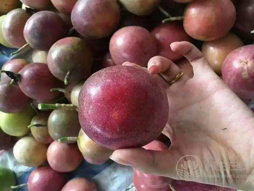 緩解便秘，百香果汁加點蜂蜜，讓你如廁更順暢