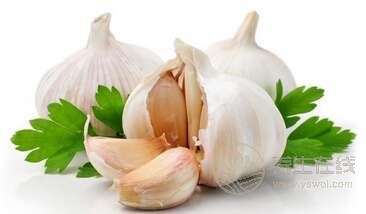 推薦能夠藥食兩用的食物 推薦能夠藥食兩用的食物