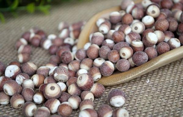 養胃食物大集合，吃到就是賺到了